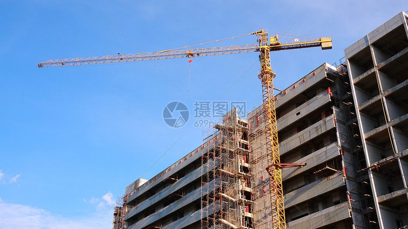 园林绿化监理验收规范全解析：标准案例深度剖析**